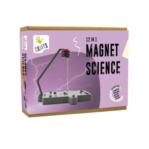 Eksperimentas „Magnetizmas”